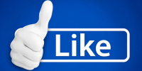 Facebook Like